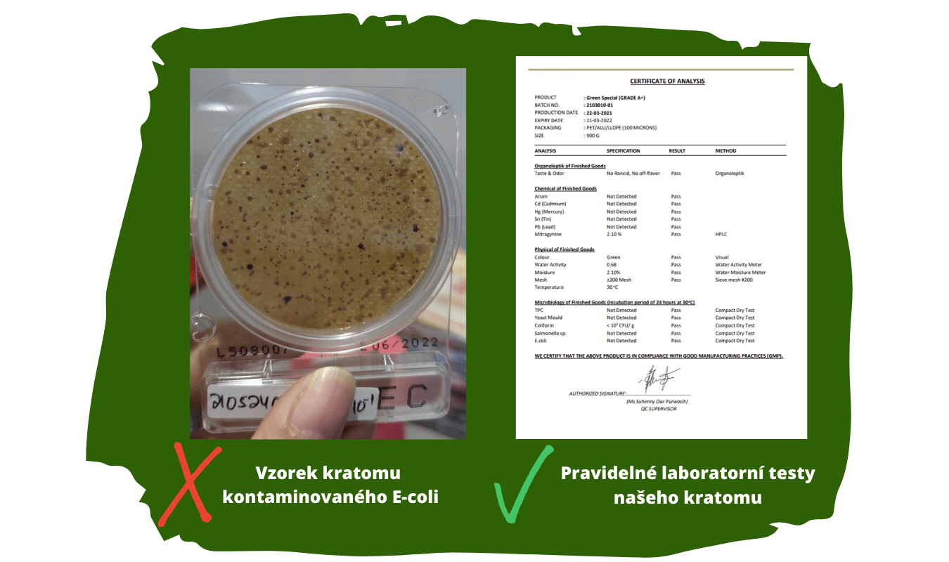 Vzorek kontaminovaného kratomu (1)
